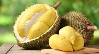 Durian, Kelezatan yang Menyimpan Tantangan Kesehatan