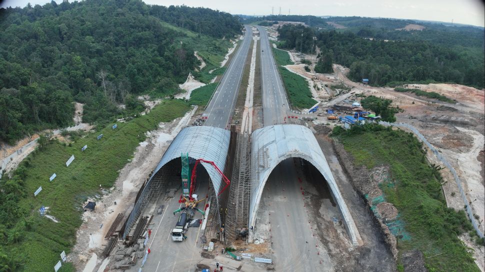 Update Terbaru Pembangunan Jembatan Satwa di Tol IKN