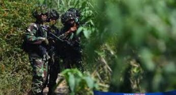Dua Prajurit Gugur di Puncak Jaya Diserahkan ke Keluarga