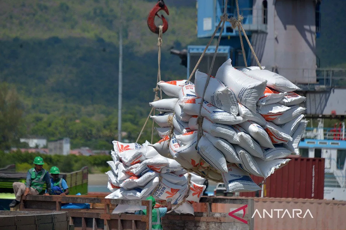 Distribusi Beras 10 Kg Difokuskan ke Indonesia Timur